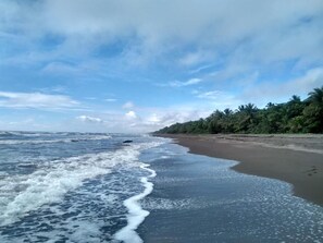 Exterior - Tortuguero Adventures Beach House (Colorado)