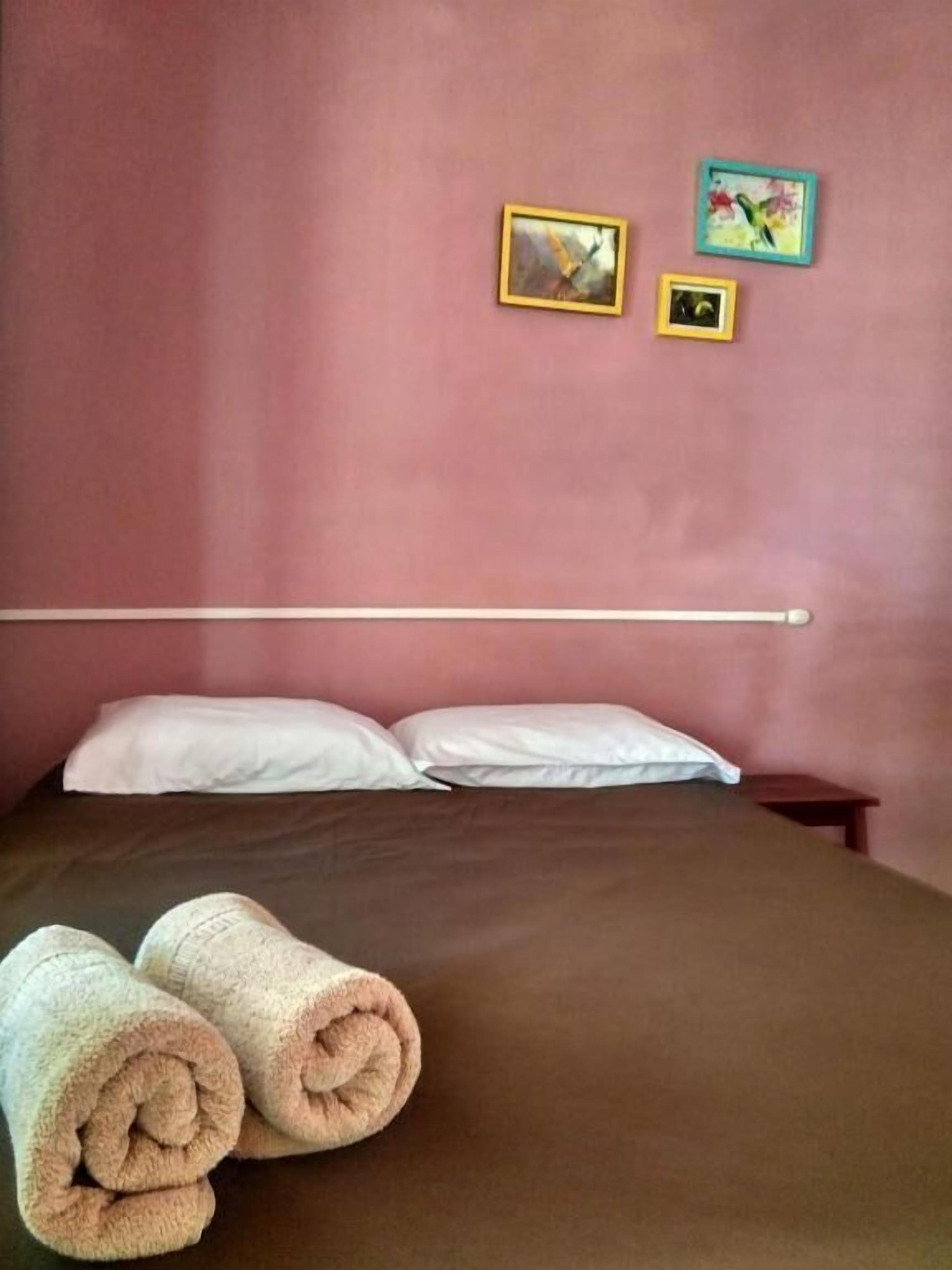 Foto - Tortuguero Adventures Beach House
