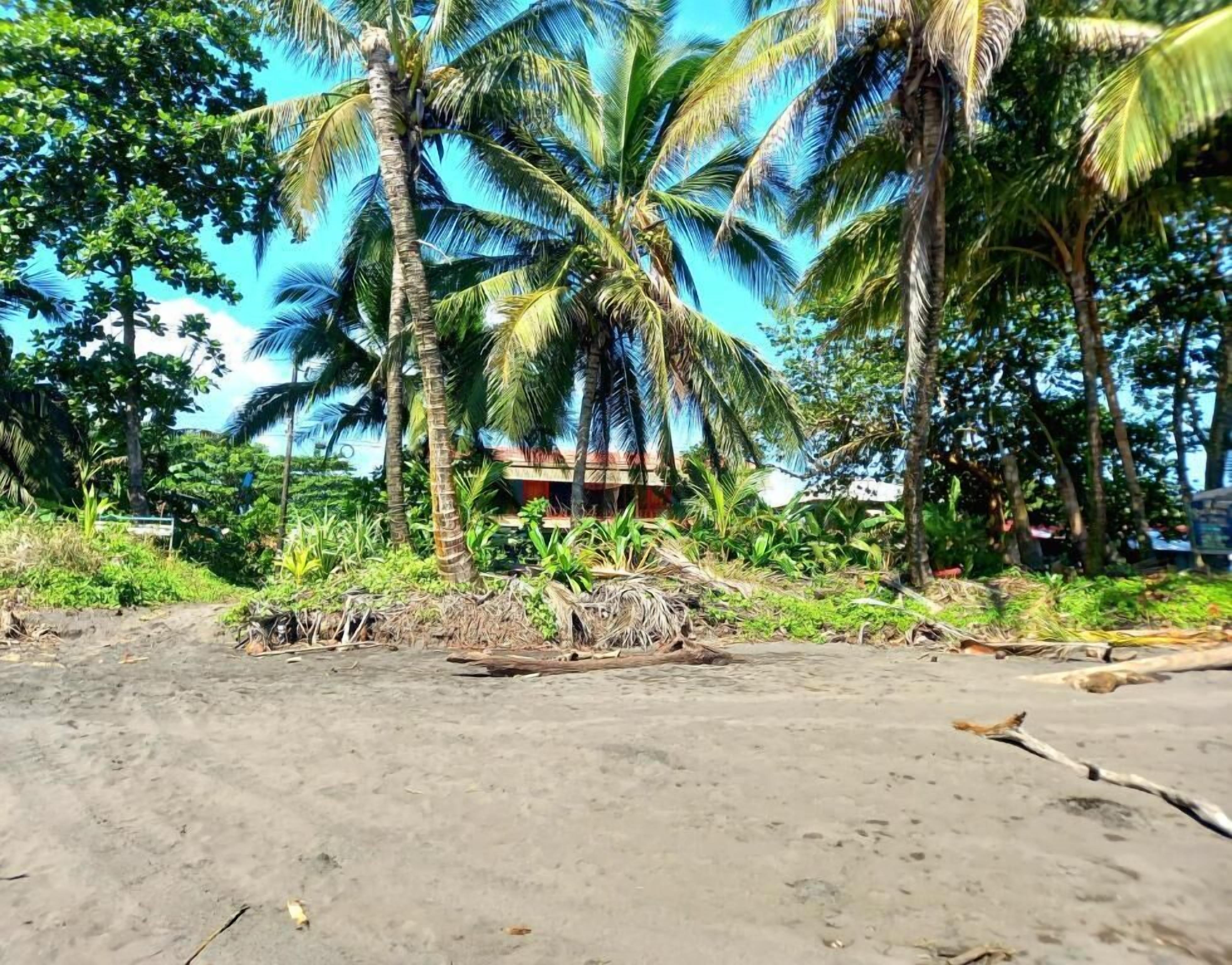 Foto - Tortuguero Adventures Beach House