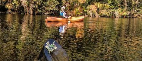 A person in a canoe on a calm river surrounded by dense vegetation.