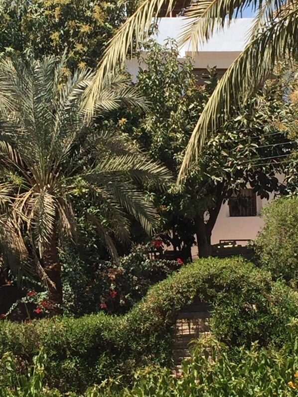 Jardines del alojamiento