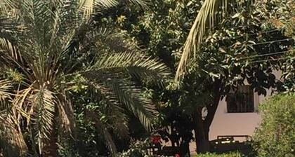 Eternal Nile Guest House