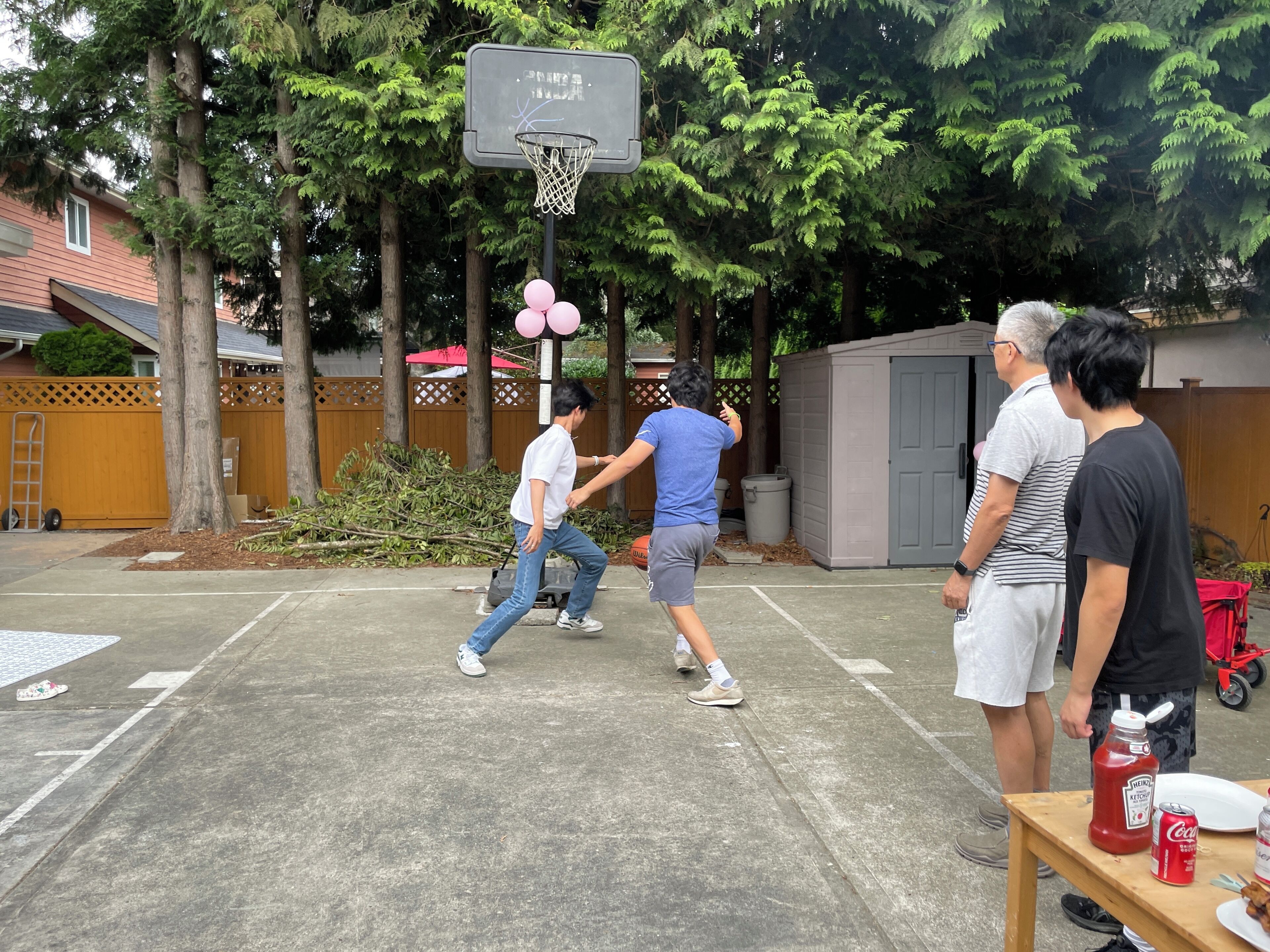 إطلالة على الفناء