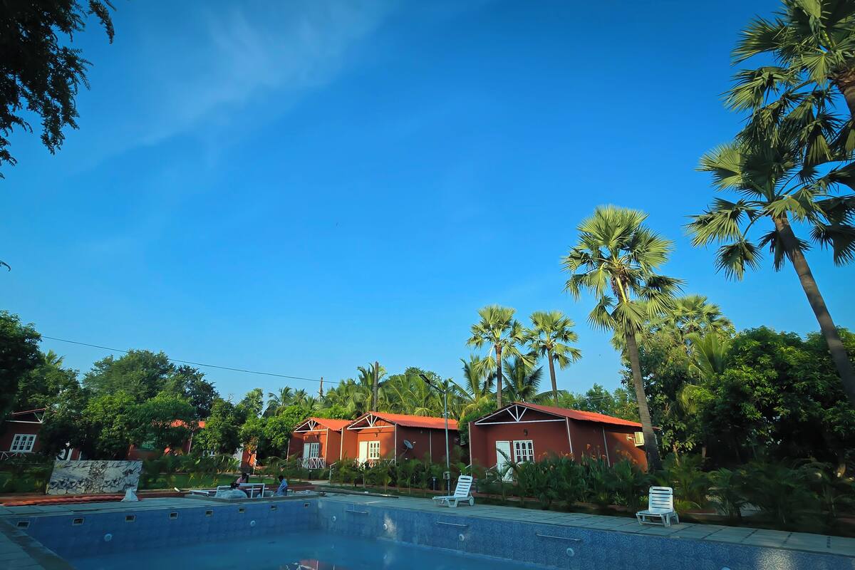 A pool area with lounge chairs, palm trees, and red-roofed buildings.