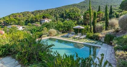 Luxury villa with pool