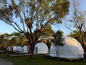 Comfort Tent, 2 Double Beds | View from room