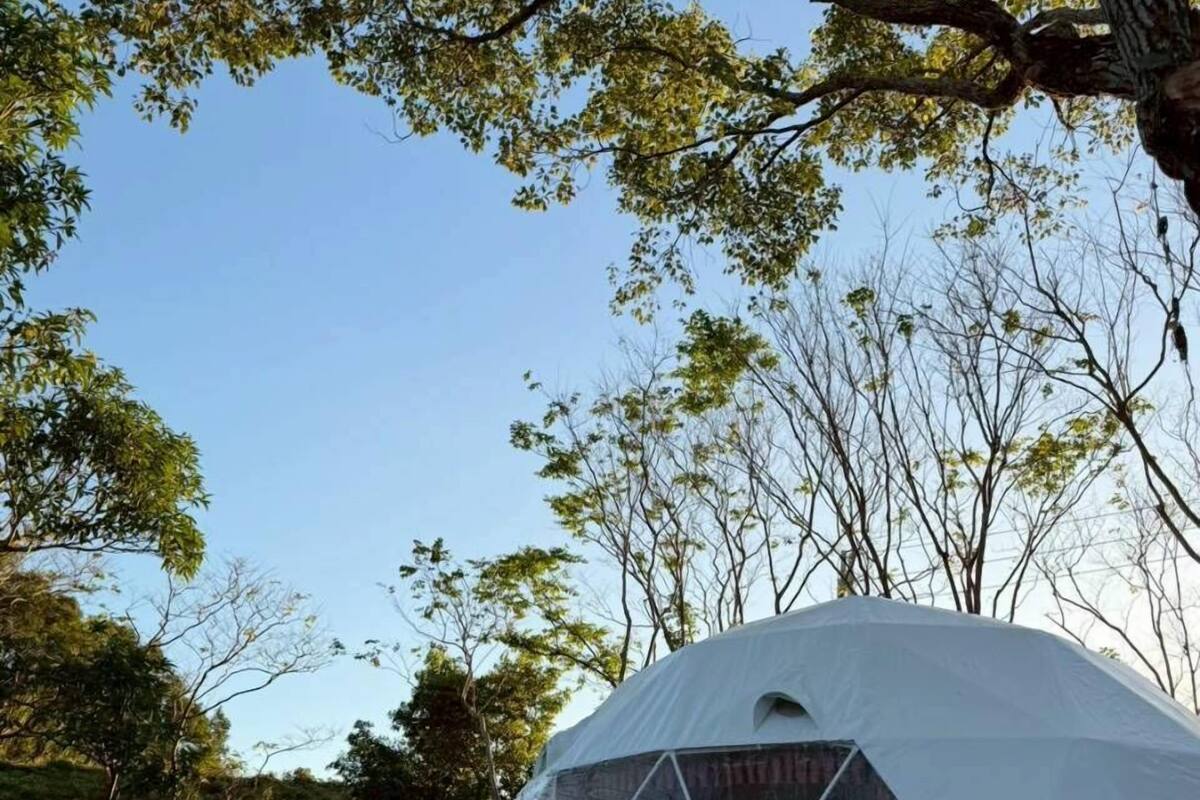 舒適帳篷, 2 張標準雙人床 | 床單