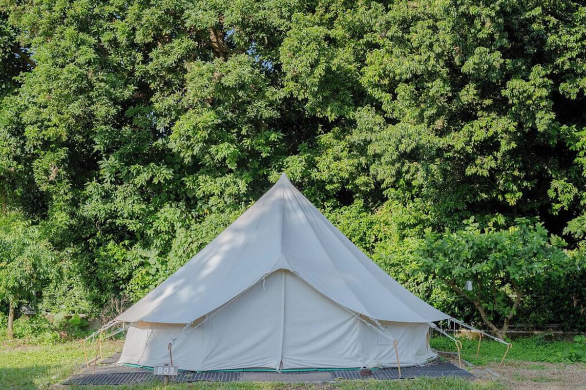 A large, white, pyramid-shaped tent set up in a grassy area with dense green trees in the background.