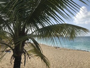 Beach - MINI PRIVATE DISCOVERY CRUISE (Grand-Case)