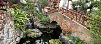 Charming cottage with Koi Pond