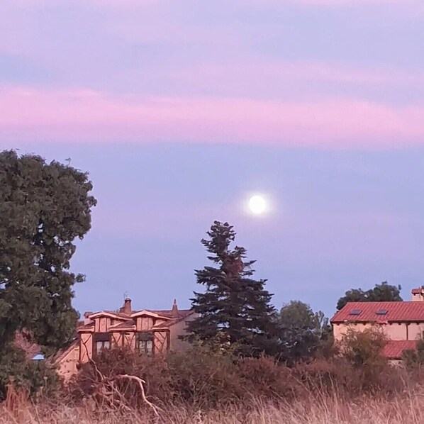 Imagen sin descripción, 1 de 20, botón