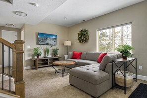 Smart TV, fireplace, books