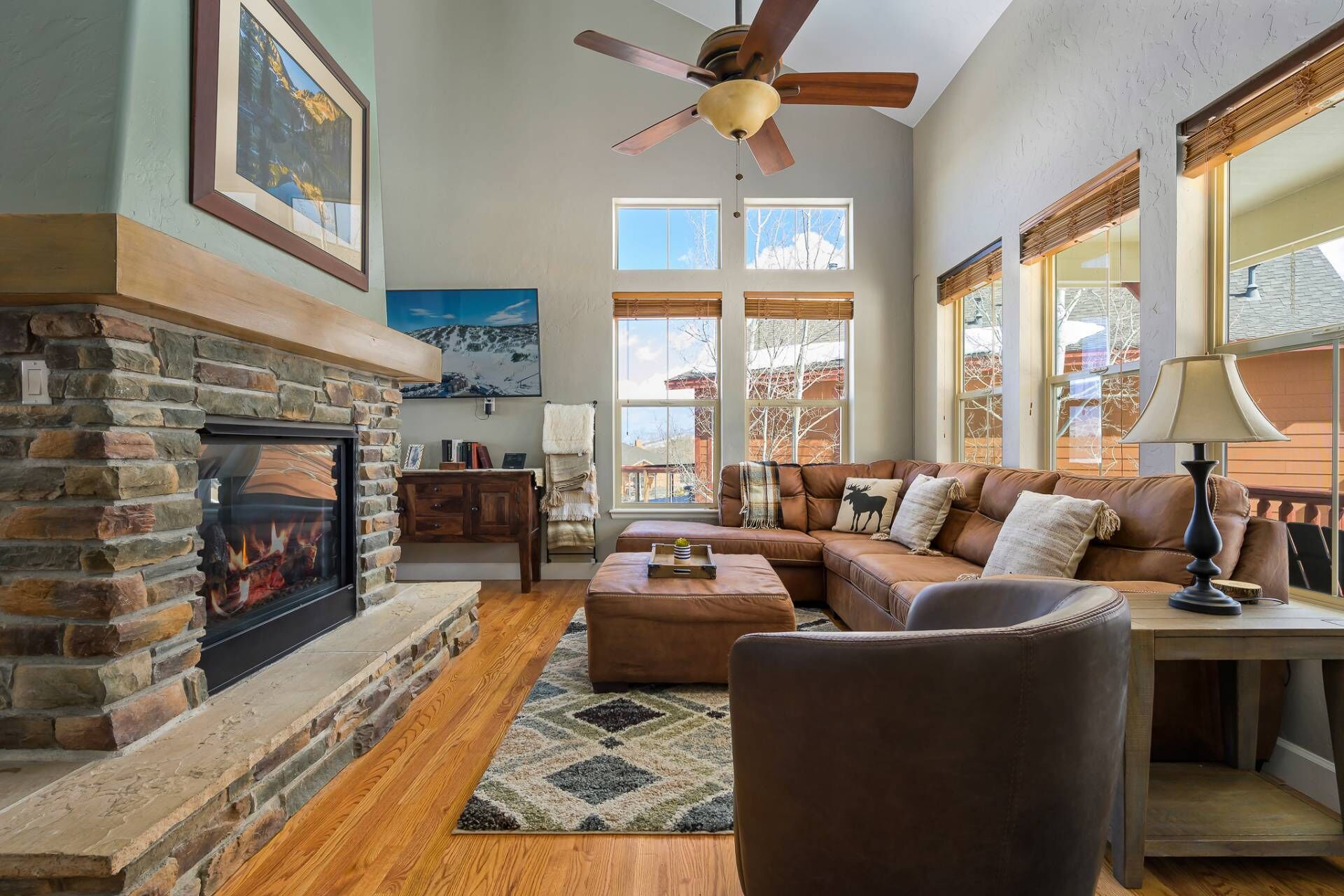 Smart TV, fireplace, books