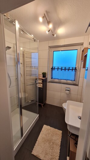 Shower, hair dryer, towels