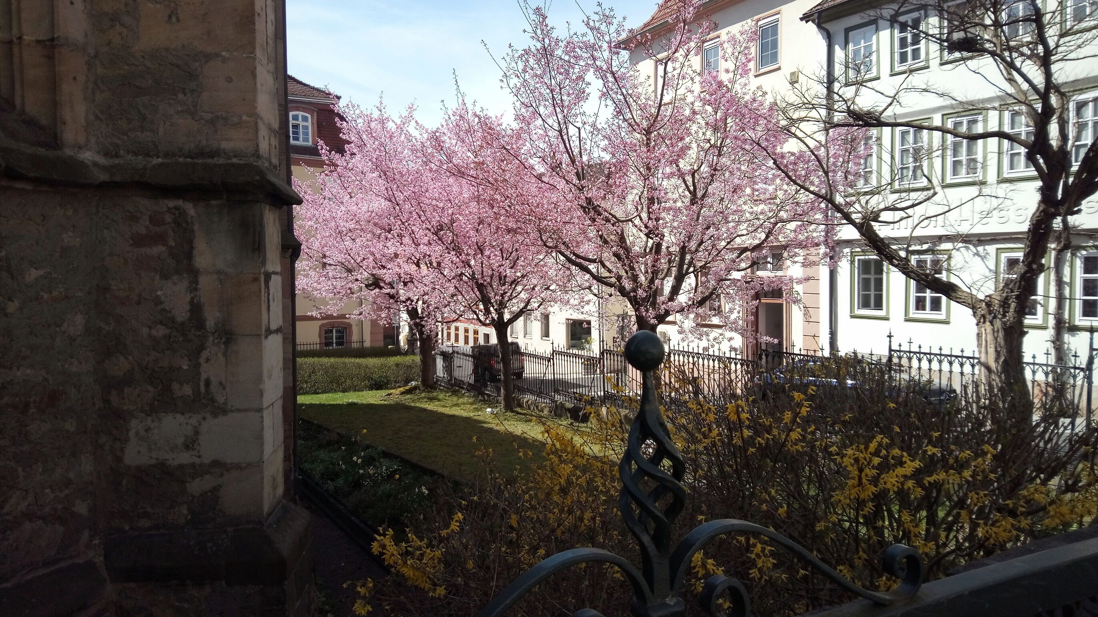 Àrea exterior de l'allotjament