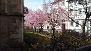 A row of cherry blossom trees in a courtyard with a building in the background. - Holiday Home 'Bungalow 21' with Shared Garden and Wi-Fi (Dipperz)