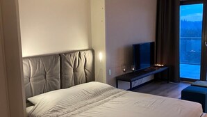 A modern bedroom with a bed, a TV, and a view of the outdoors. - Apartment 'Winterberg E2' with Mountain View, Shared Garden and Wi-Fi (Winterberg)