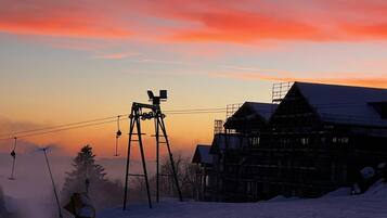 Wintersport/Ski