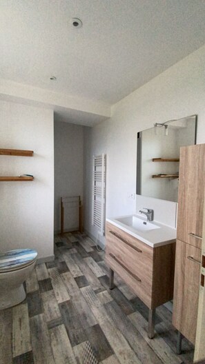 Douche, séchoir à cheveux, papier de toilette