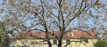 Le gĂźte des marronniers , au cĆur de la CĂŽte dâOr