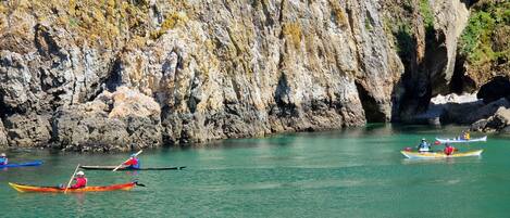 A group of kayaks on calm water with rocky cliffs in the background.