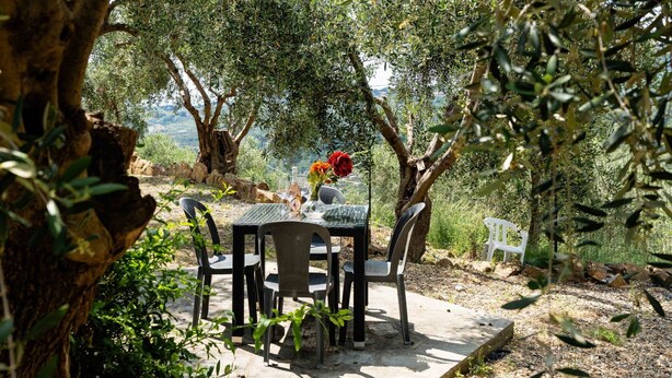An outdoor dining area with a table and chairs, surrounded by olive trees and a view of the countryside. - Beautiful apartment for 6 people with A/C, WIFI, pool, patio, pets allowed and panoramic view (Civezza)