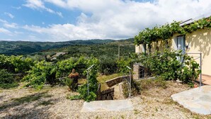 A vineyard with a house on a hillside, surrounded by greenery and hills in the background. - Beautiful apartment for 6 people with A/C, WIFI, pool, patio, pets allowed and panoramic view (Civezza)