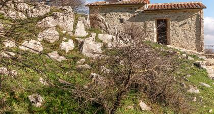 Bel appartement dans une maison de vacances pour 2 personnes avec patio et animaux admis