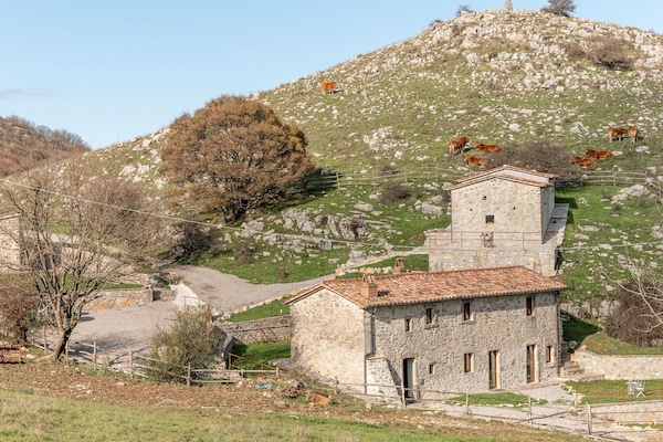Nuage, Ciel, Plante, L'Eau, Arbre, Horizon, Zone Rurale, Paysage, Maison, Cumulus