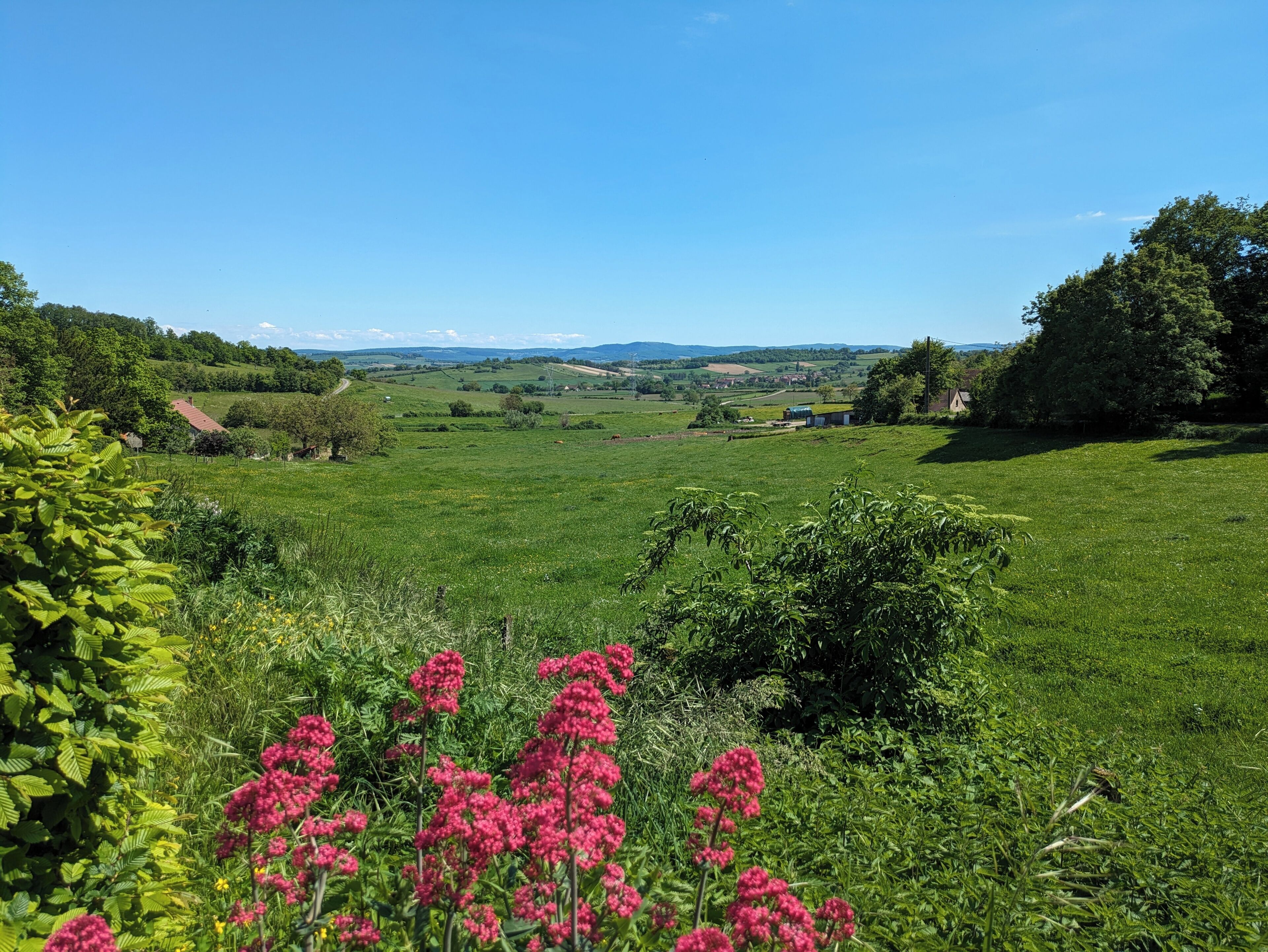 A rural landscape with green fields, trees, and a clear sky.