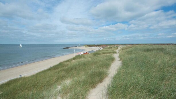 Ett kustlandskap med en sandstrand, gräsklädda sanddyner och en klar himmel.