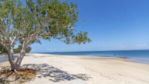 A beach with a large tree, clear blue sky, and calm sea. - Fairweather Dreaming on Welsby (BONGAREE)