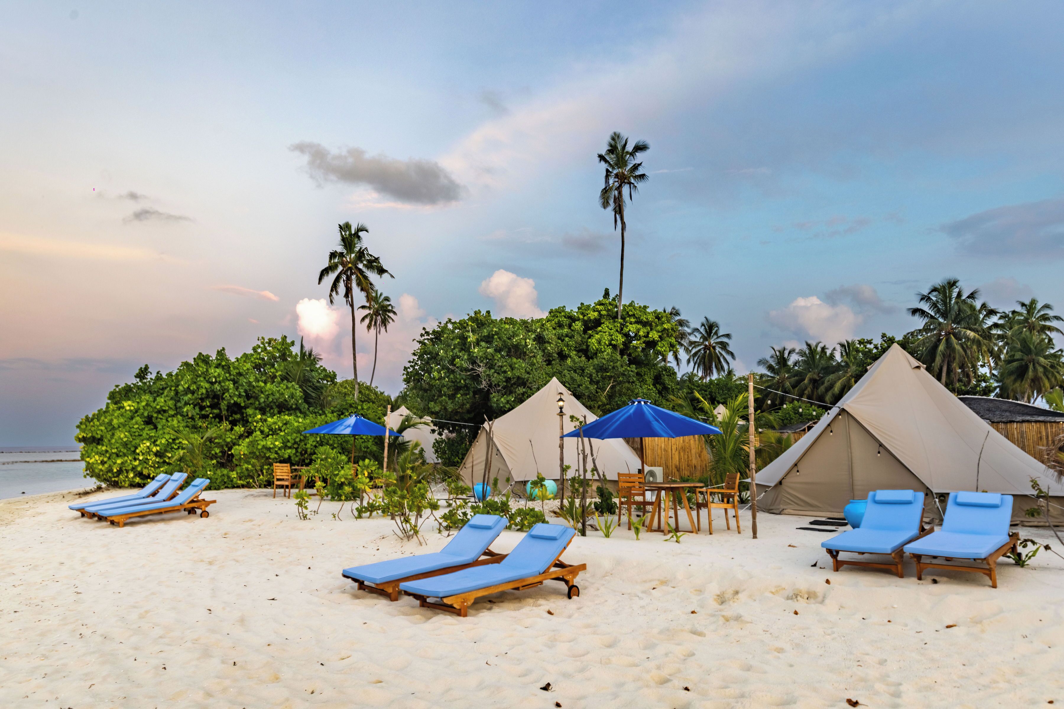A beach with lounge chairs, tents, and palm trees.