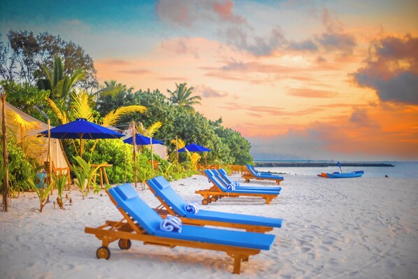 A beach with sun loungers and umbrellas, palm trees, and a clear sky. - Maverick Surf & Dive Boutique Resort - Complimentary Airport Transport for Full Board Stays of 6 Nights or More (Mundoo)