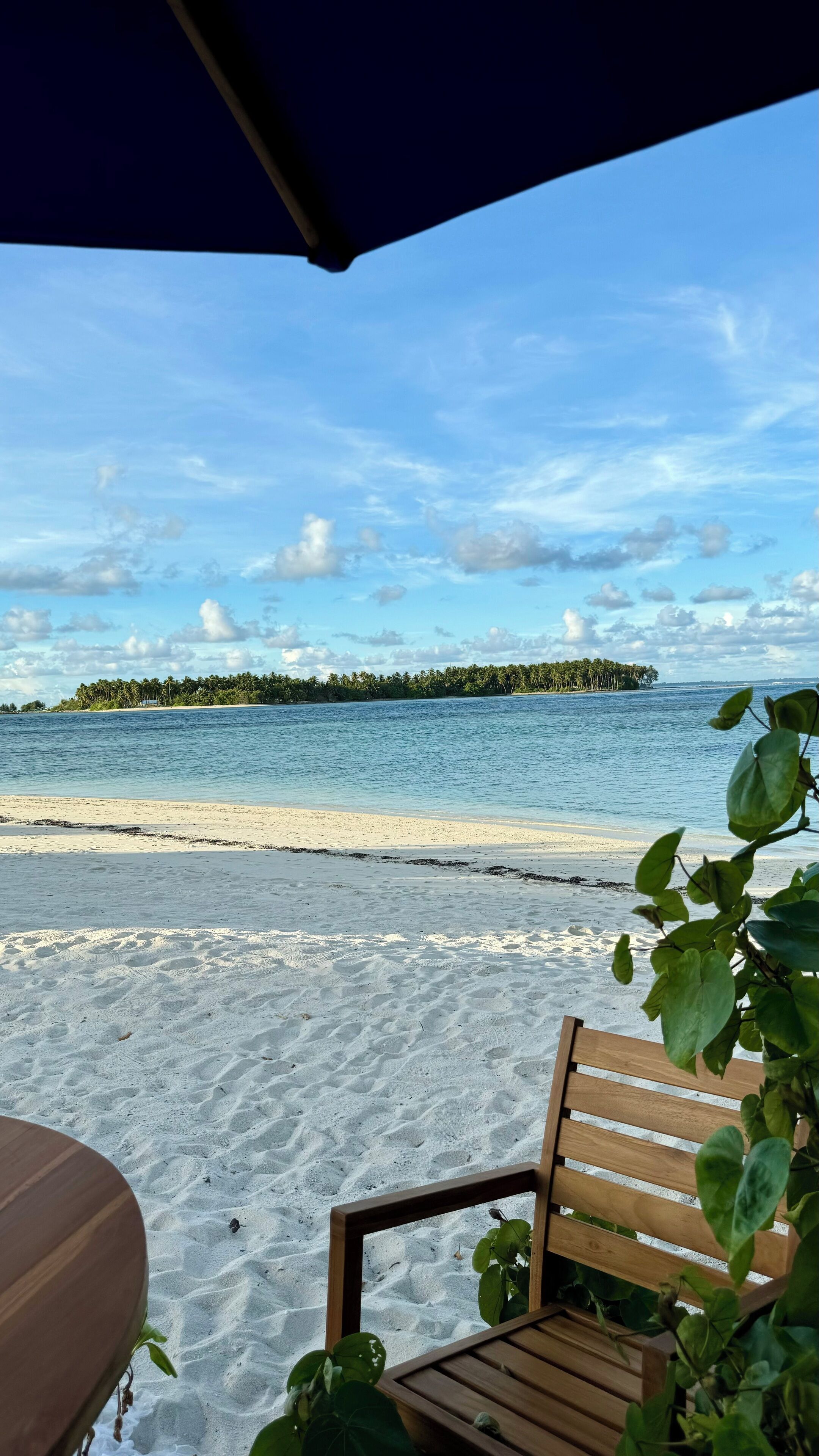 A beach view with a wooden bench and a table under a canopy, overlooking calm waters and a distant island.