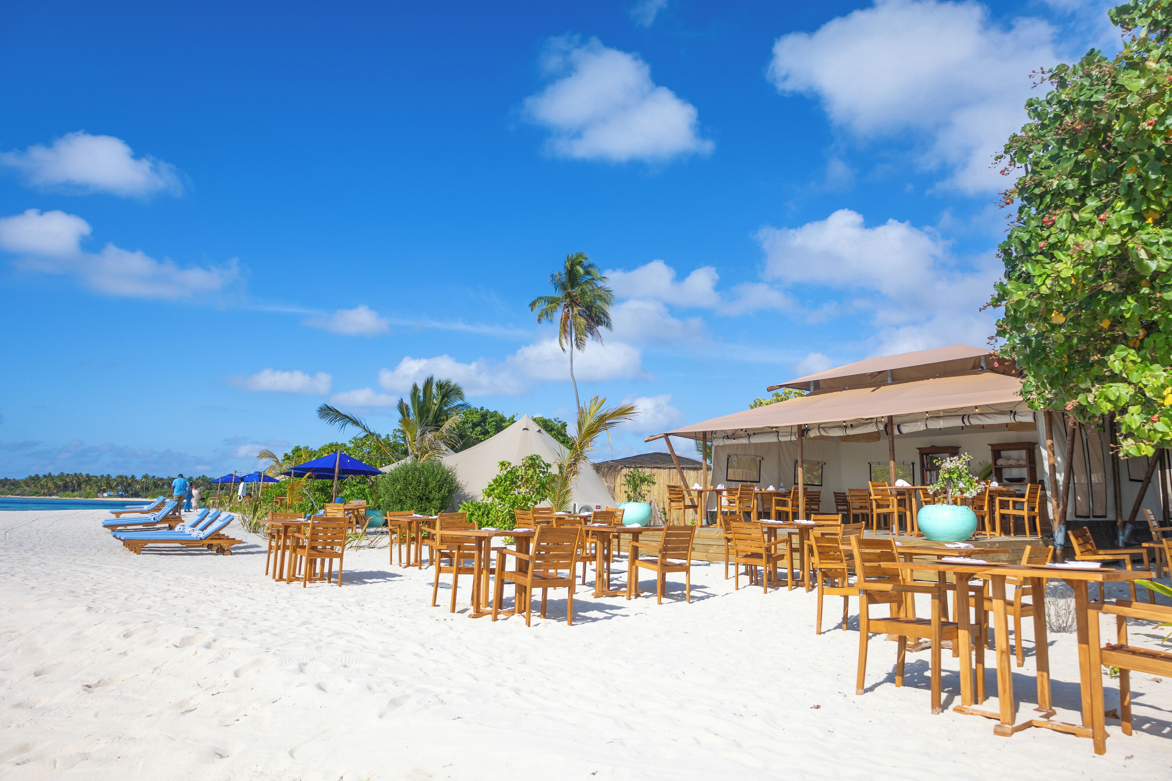 A beachside restaurant with outdoor seating, palm trees, and a clear blue sky.