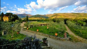 A rural landscape with a path leading to a building, surrounded by greenery and hills in the background. - Holiday Home in Reggello (Reggello)
