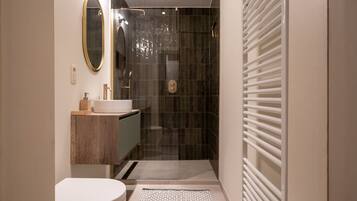 Douche, sèche-cheveux, serviettes fournies, papier toilette