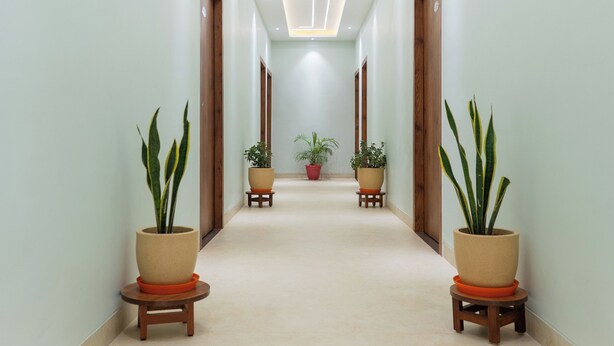 A hallway with a modern ceiling design, potted plants on either side, and a neutral color scheme.