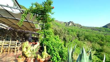 House | View from property