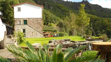 House | Property grounds