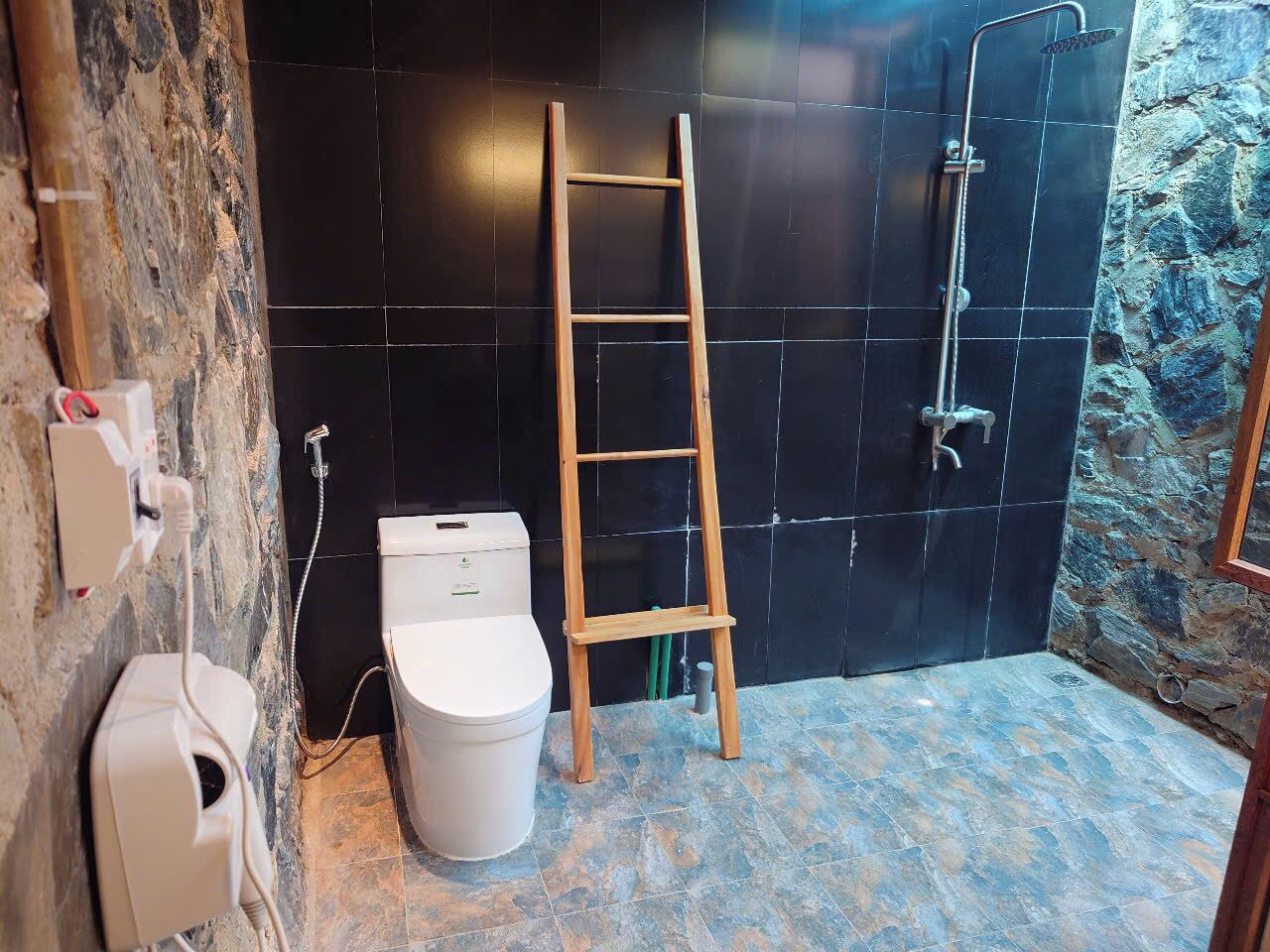 A bathroom with a toilet, a wooden ladder, and a shower area.