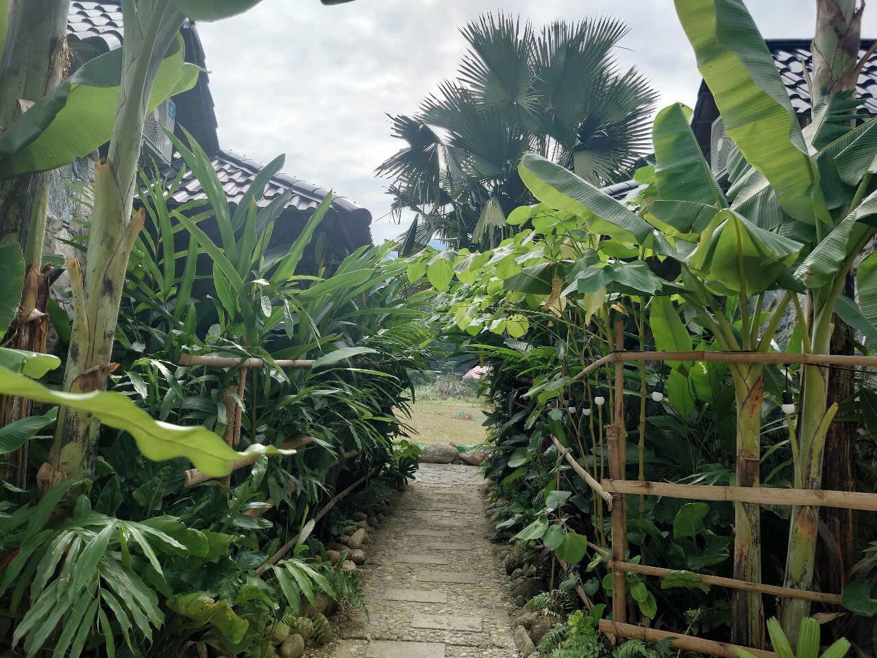 A stone pathway flanked by lush banana plants and a bamboo fence leading to a traditional tiled roof structure.
