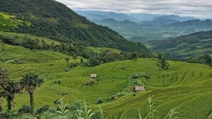 Vista para a região