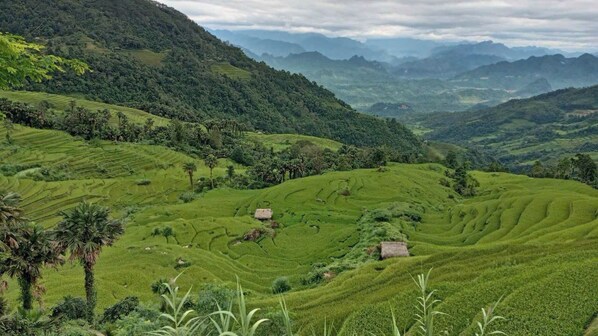 Campi di riso a terrazza con case tradizionali immersi nel verde e tra dolci colline.