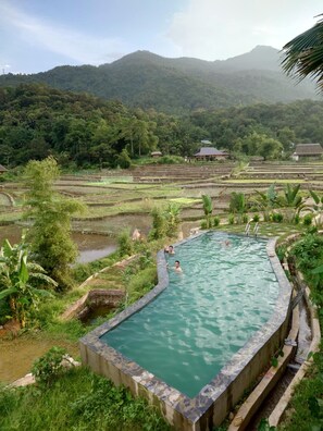 Una piscina con borde de piedra, rodeada de abundante vegetación y campos escalonados al fondo.