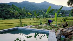 Uma paisagem serena com piscina, vegetação exuberante e montanhas ao longe.