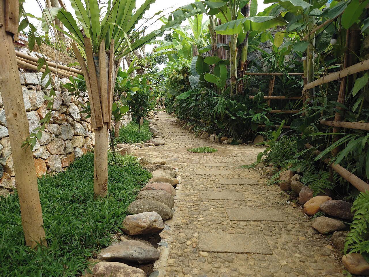 Un sendero de piedra bordeado de bambú y plantas de plátano, que atraviesa un exuberante jardín.