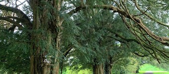 Luxurious Meath Retreat With 5 Bedrooms