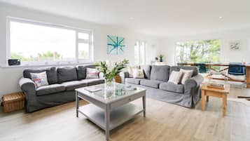 TV, fireplace, DVD player, books